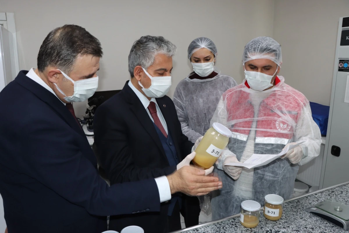 Adıyaman Balı Marka Yolunda: Coğrafi İşaret Tescil S&uuml;reci Başladı