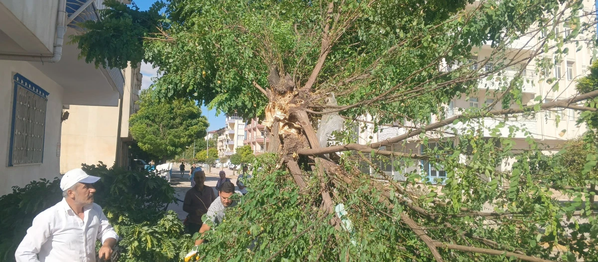 Adıyaman Gölbaşı'nda Fırtına Etkili Oldu   