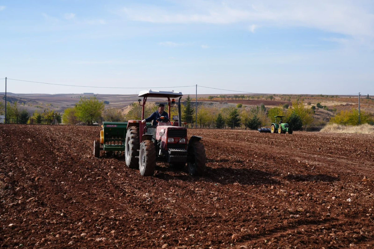 Adıyaman Üniversitesi, Tıbbi ve Aromatik Bitkiler Üzerindeki Çalışmalarıyla Bölgesel Üretim Çeşitliliğini Artırıyor