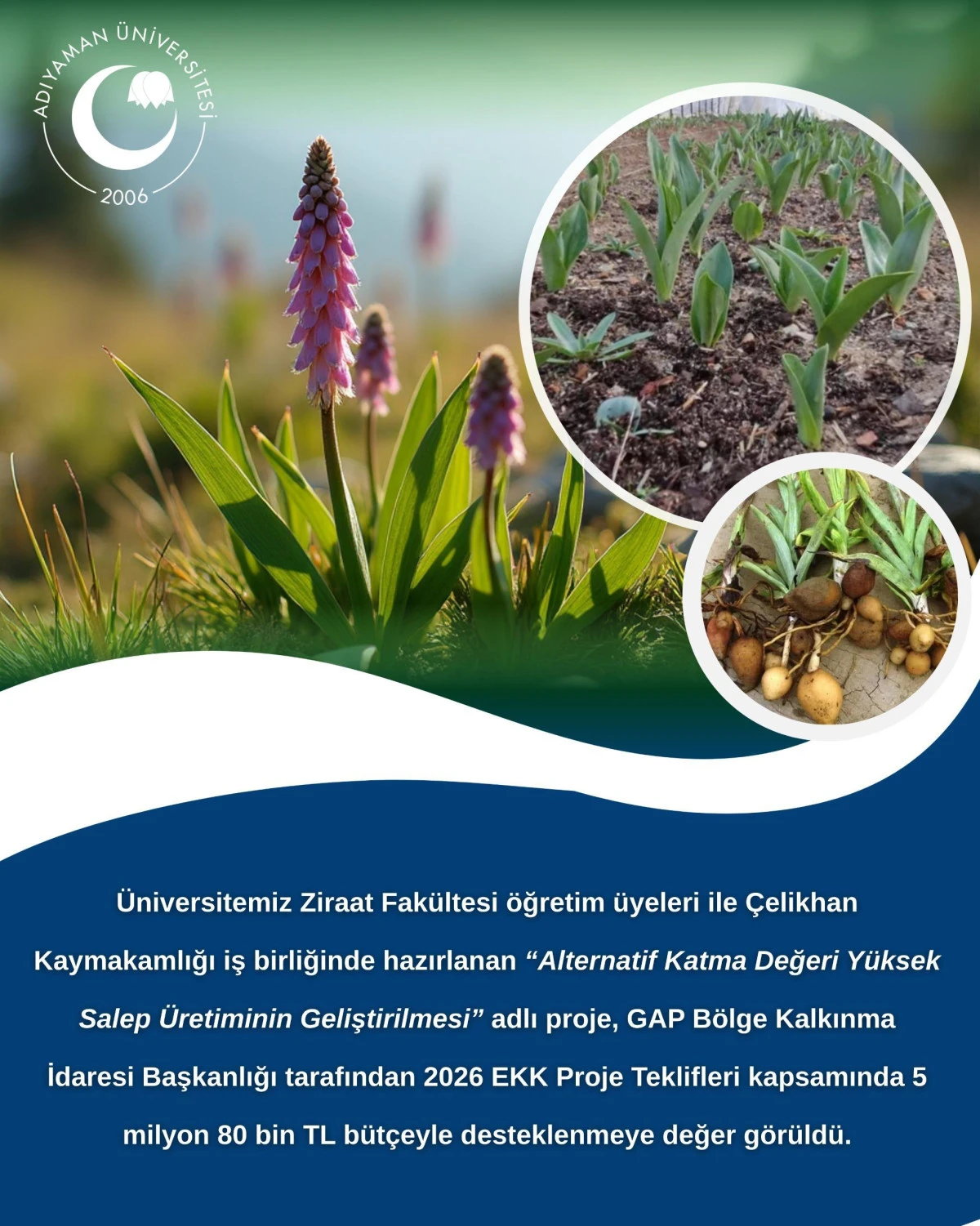 Adıyaman &Uuml;niversitesinden Kırsal Kalkınma İ&ccedil;in Salep Hamlesi 