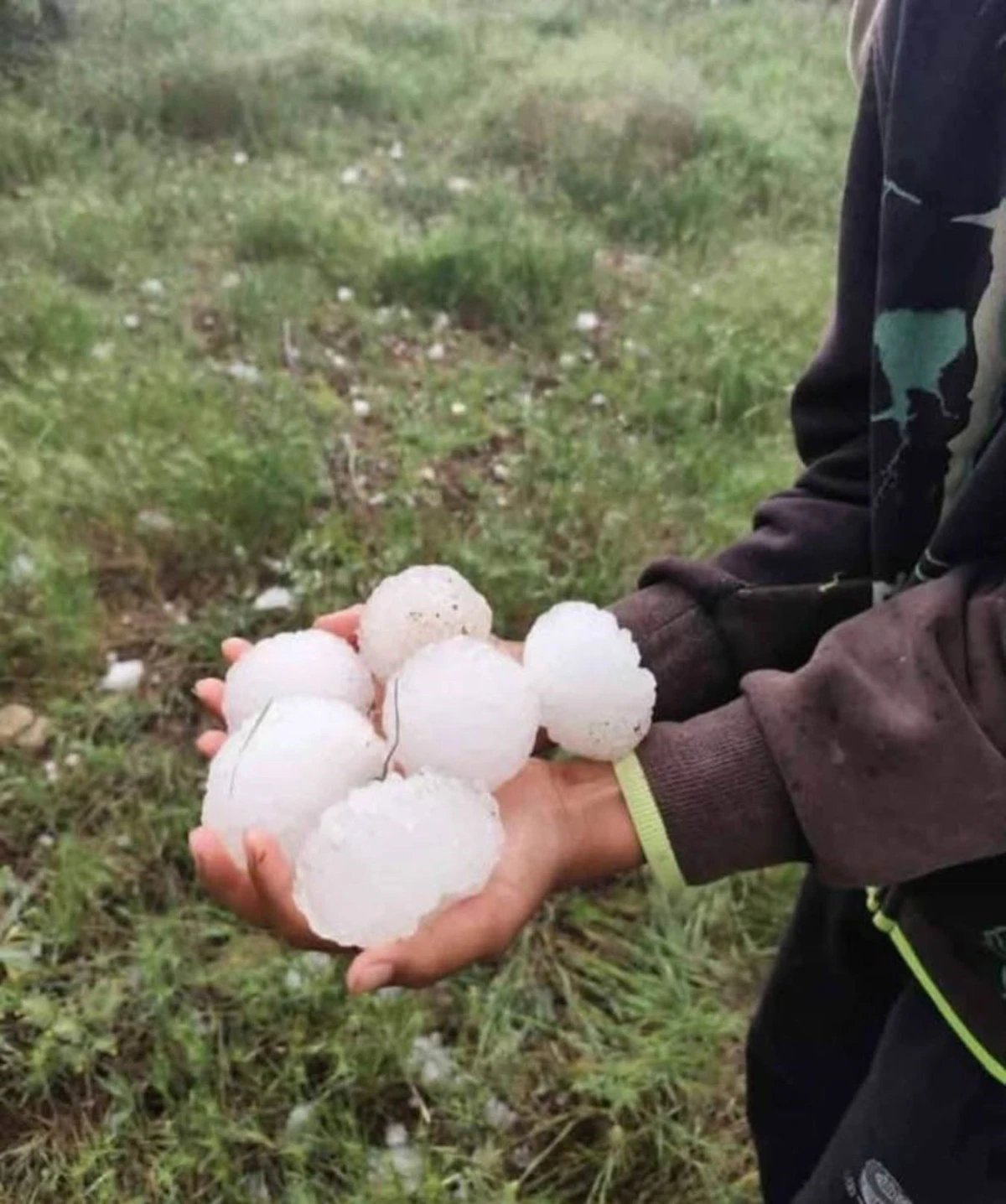Adıyaman'da Ceviz Büyüklüğündeki Dolu Yağışı Badem Bahçelerine Zarar Verdi   