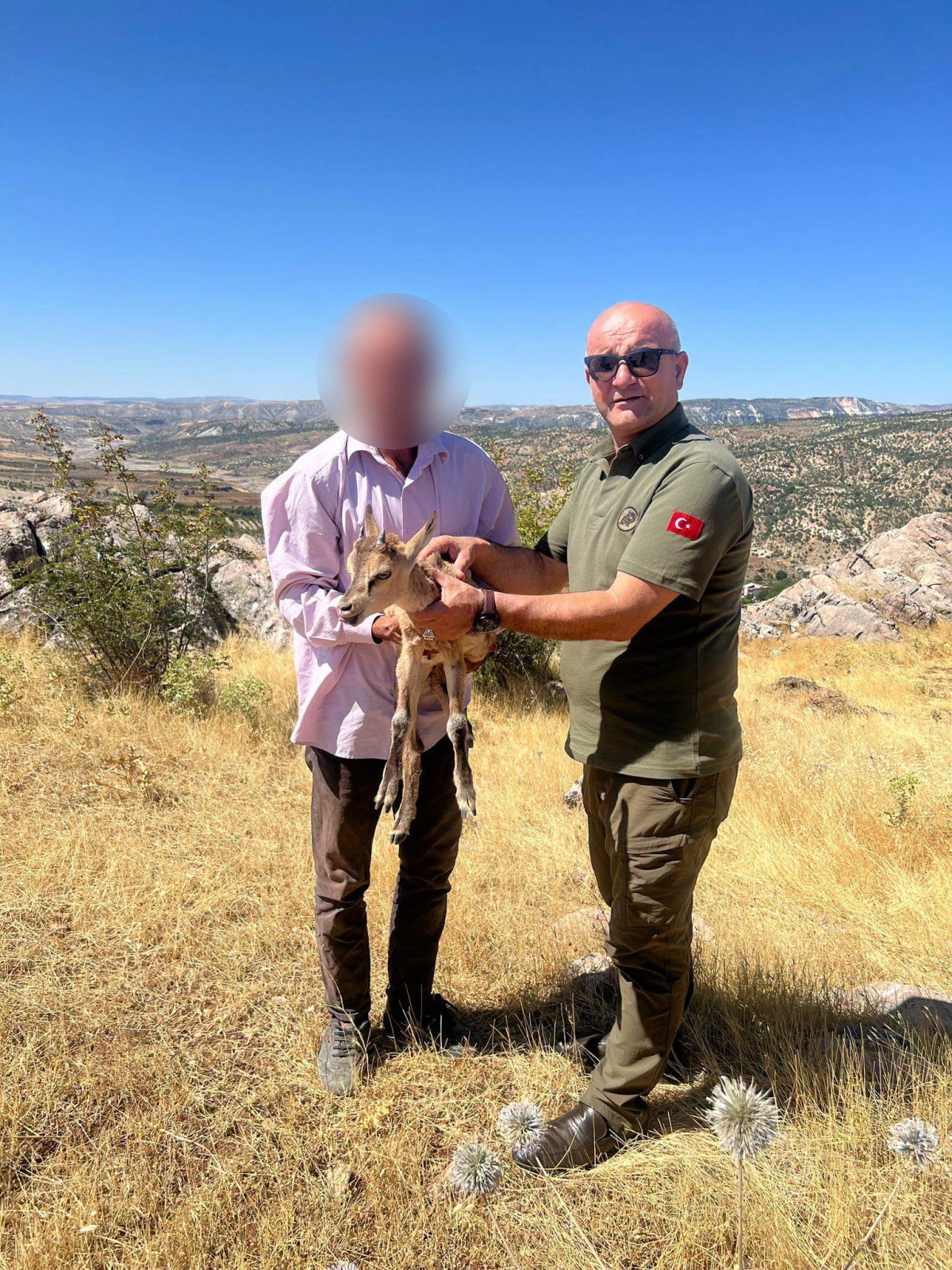 Adıyaman'da Yaralı ve Yavru Yaban Hayvanları Koruma Altına Alındı