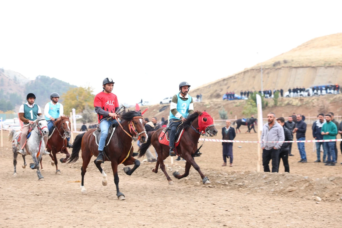 Adıyaman’ın İl Oluşunun 71. Yılı, Rahvan At Yarışlarının Coşkusuyla Kutlandı