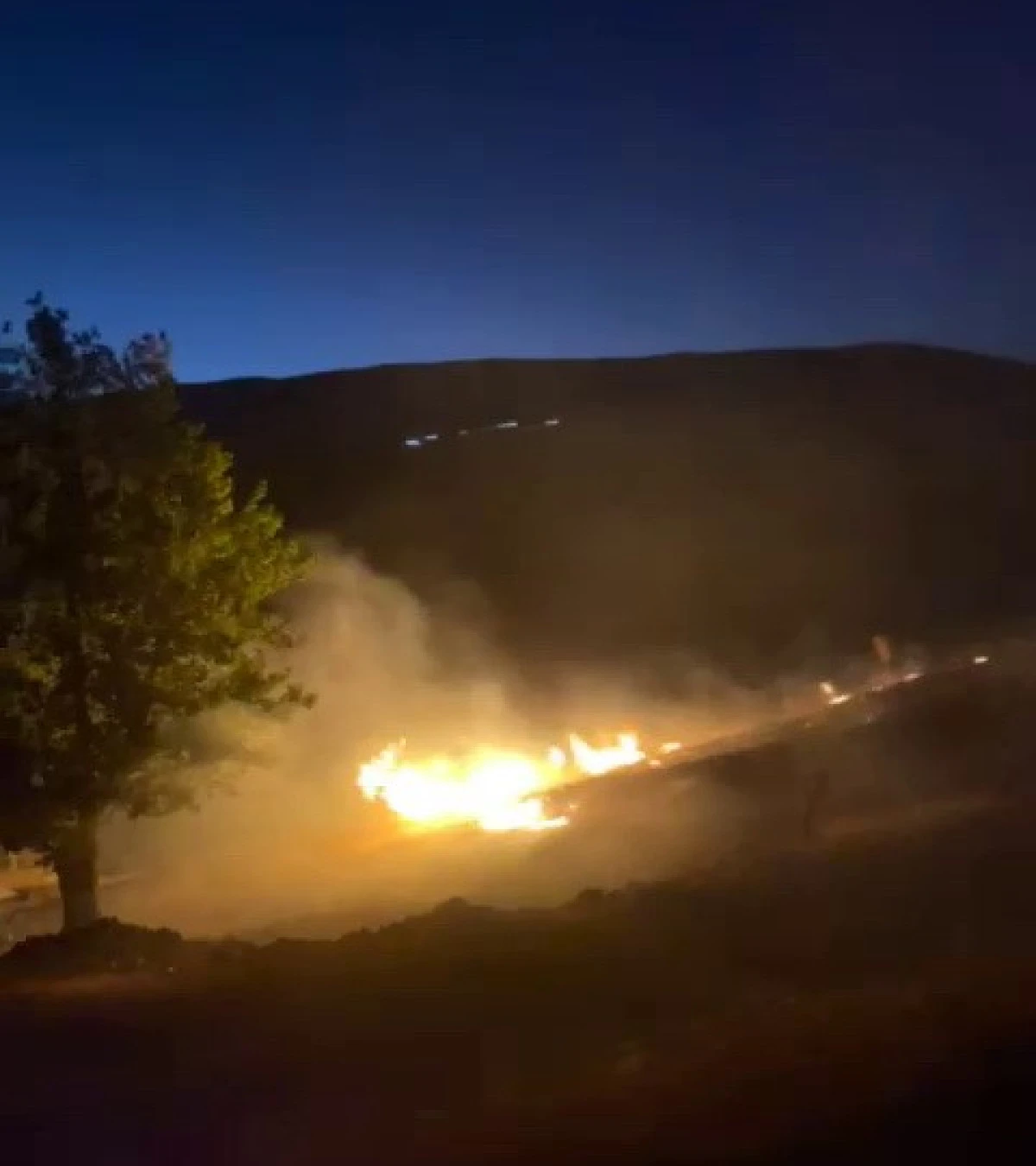 Anız Yangını Bahçeye Sıçradı   