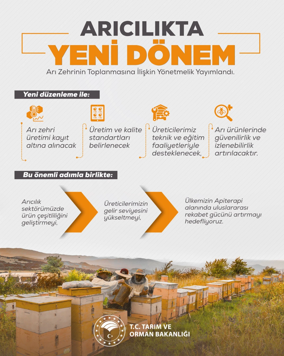 Arı Zehrinin Toplanmasına İlişkin Y&ouml;netmelik Resm&icirc; Gazete&rsquo;de Yayımlandı