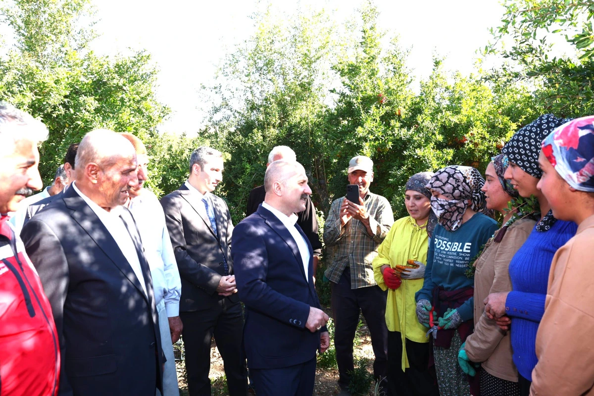 Bereketin Simgesi Narın Hasadı Başladı