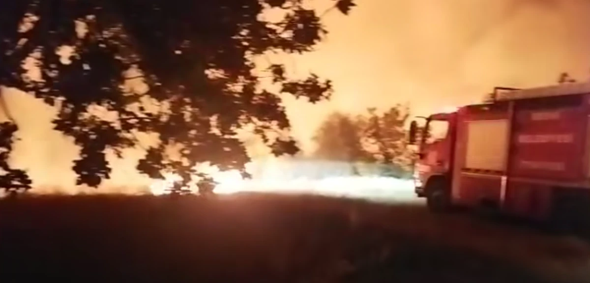 Besni'de Bah&ccedil;e Yangını Korkuttu	