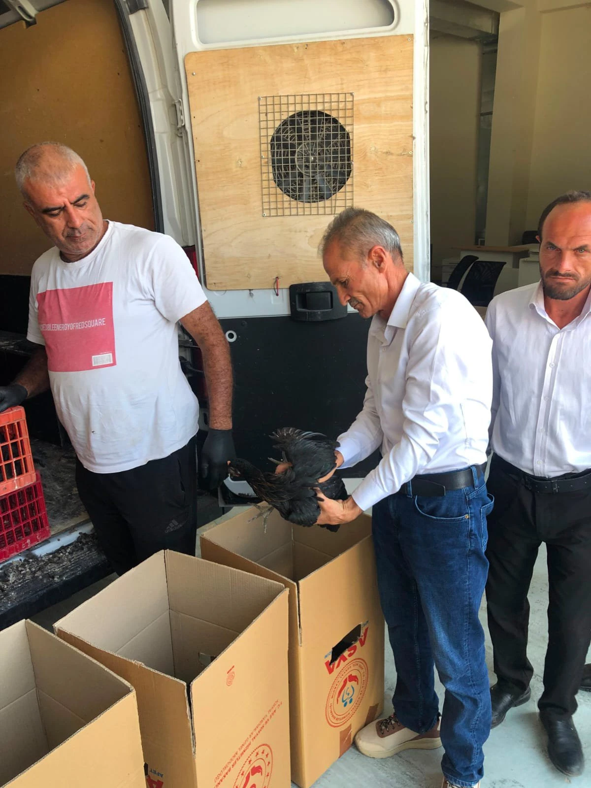 &Ccedil;elikhan&rsquo;da 20 Aileye 440 K&uuml;mes Hayvanı Dağıtıldı