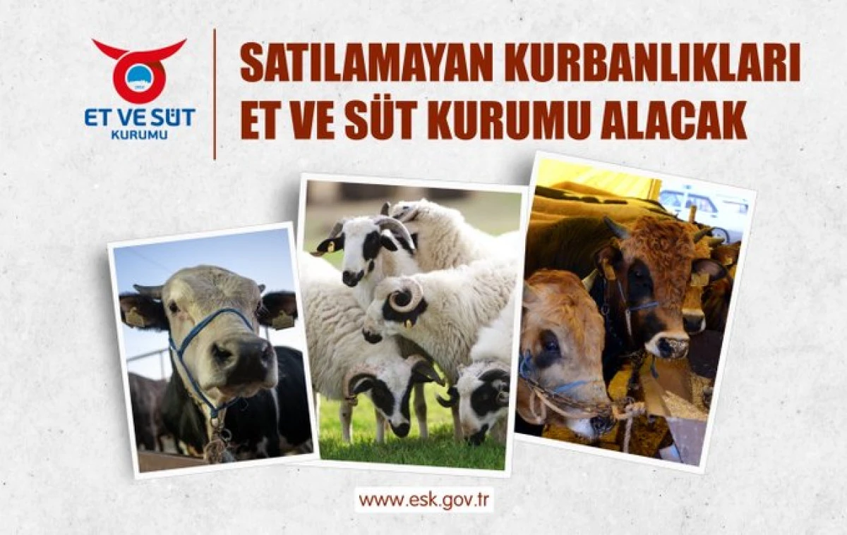 Elde Kalan Kurbanlıklar ESK Tarafından Satın Alınıyor