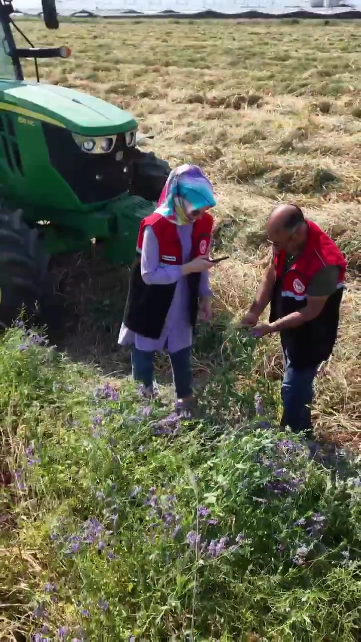 Hasankendi K&ouml;y&uuml;&rsquo;nde Yem Bitkisi Ekili Alanlarda Kontroller Tamamlandı