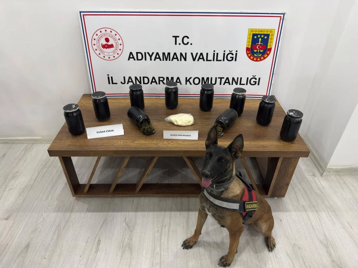 ‘‘JANDARMADAN UYUŞTURUCU OPERASYONU; (3) TUTUKLU’’