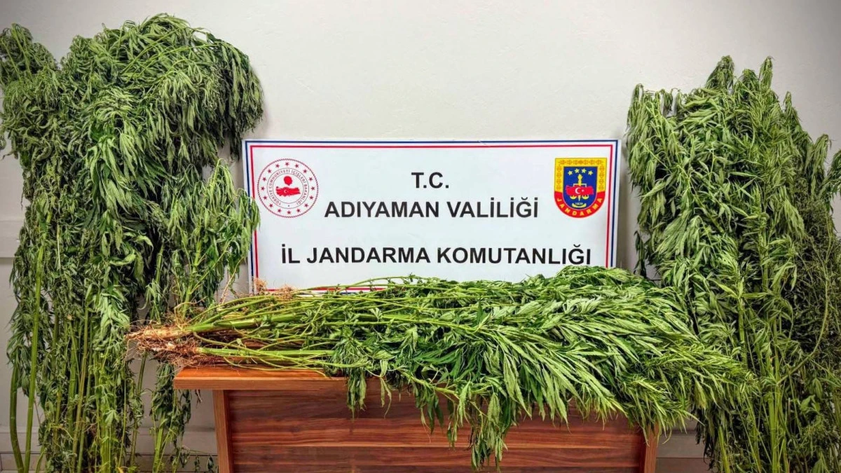 Jandarmadan Uyuşturucu Operasyonu: 9 Gözaltı   