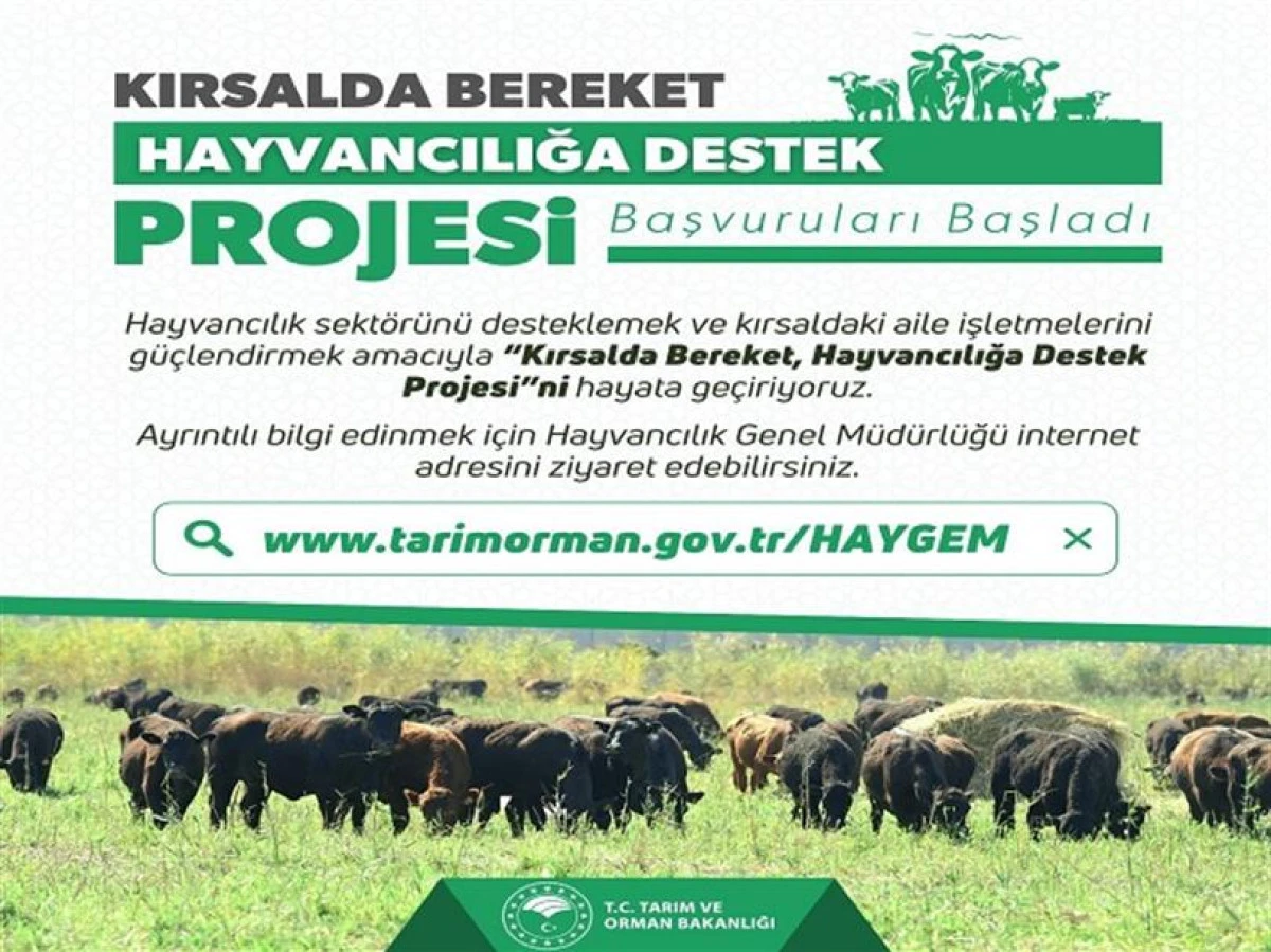 Kırsalda Bereket Hayvancılığa Destek Projesi 1. Etap Sonuçları Açıklandı