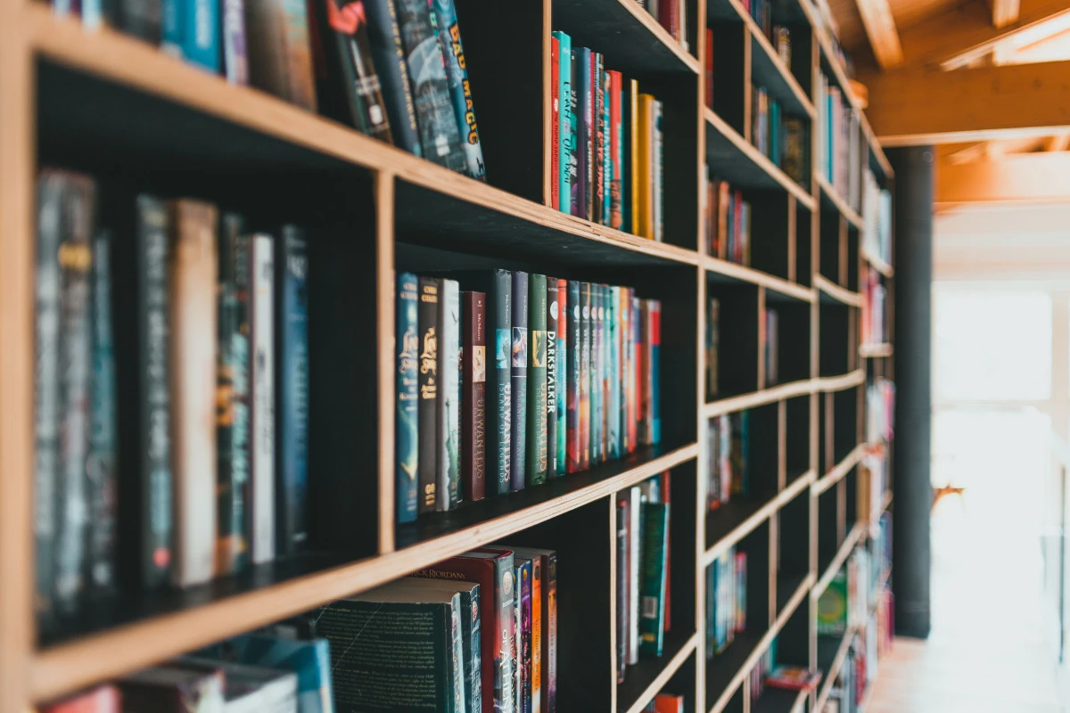 K&uuml;t&uuml;phanelerde B&uuml;y&uuml;me S&uuml;r&uuml;yor: 2025&rsquo;te Kitap ve &Uuml;ye Sayılarında Dikkat &Ccedil;eken Artış