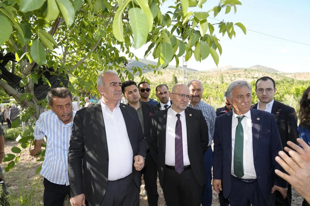 Milletvekili &Ouml;zhan,  G&ouml;lbaşı ve Tut il&ccedil;esindeki Trabzon hurması, dut ve incir &uuml;reticisine sahip &ccedil;ıktı