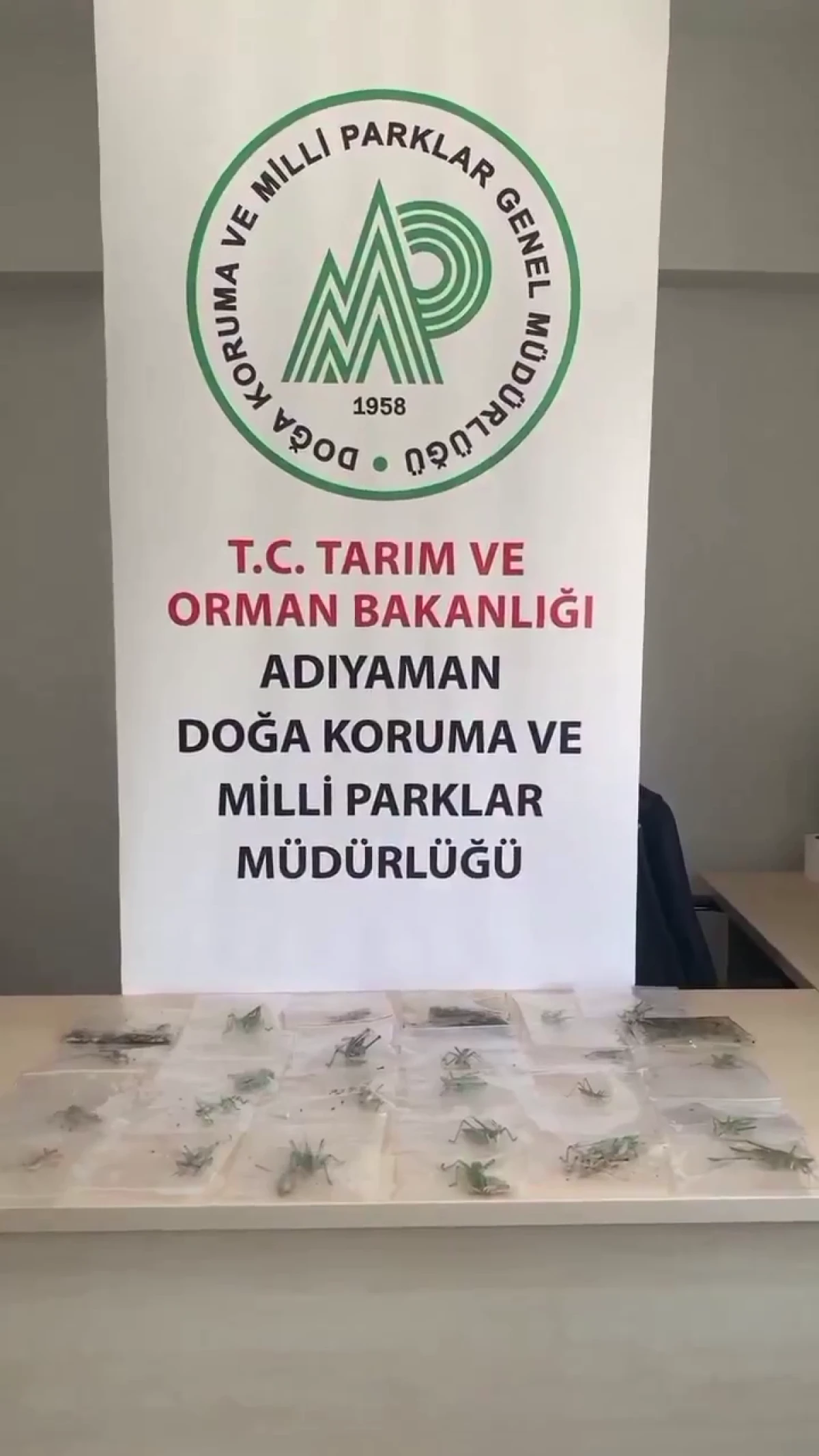 Nemrut Dağı&rsquo;nda Biyoka&ccedil;ak&ccedil;ılık Operasyonu: 135 &Ccedil;ekirgeyle Yakalanan 3 Kişiye 2 Milyon Lirayı Aşan Ceza