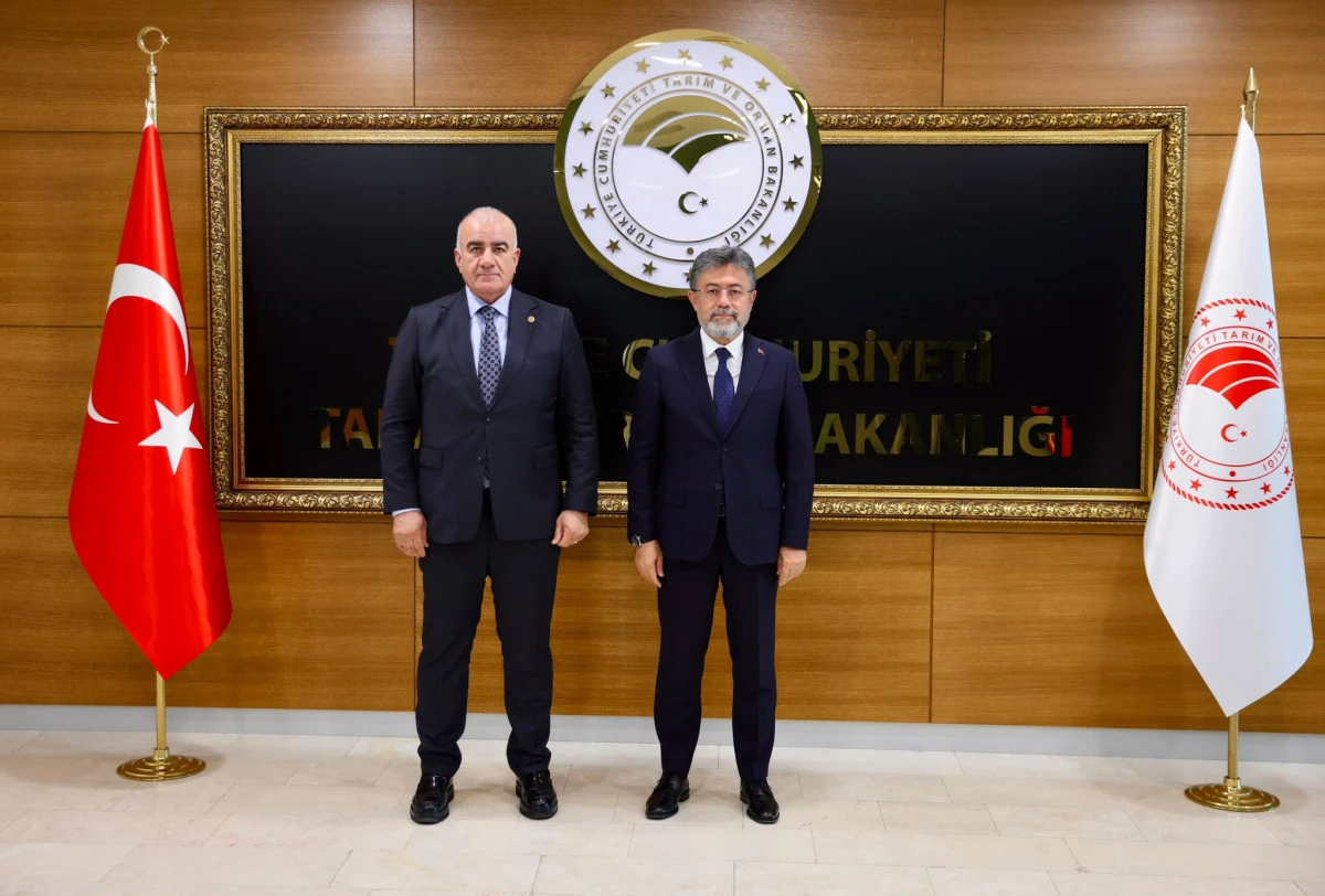 &Ouml;zhan M&uuml;jdeyi Verdi: Besni Ovası&rsquo;nda 223 Bin Dekar Arazi 2027&rsquo;de Suya Kavuşuyor