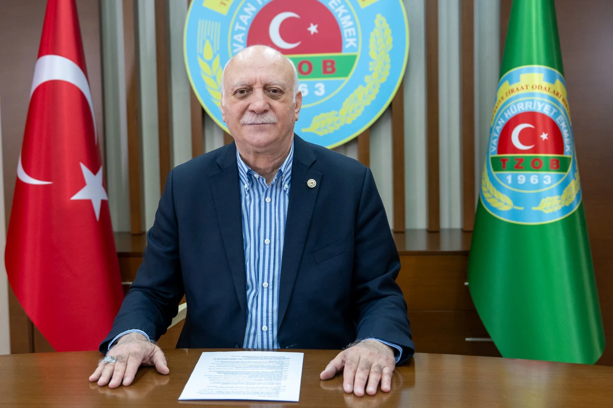 &Uuml;retici ile Market Arasındaki Fiyat Farkı Şubat&rsquo;ta Y&uuml;kseldi: Karnabahar ve Marul Zirvede