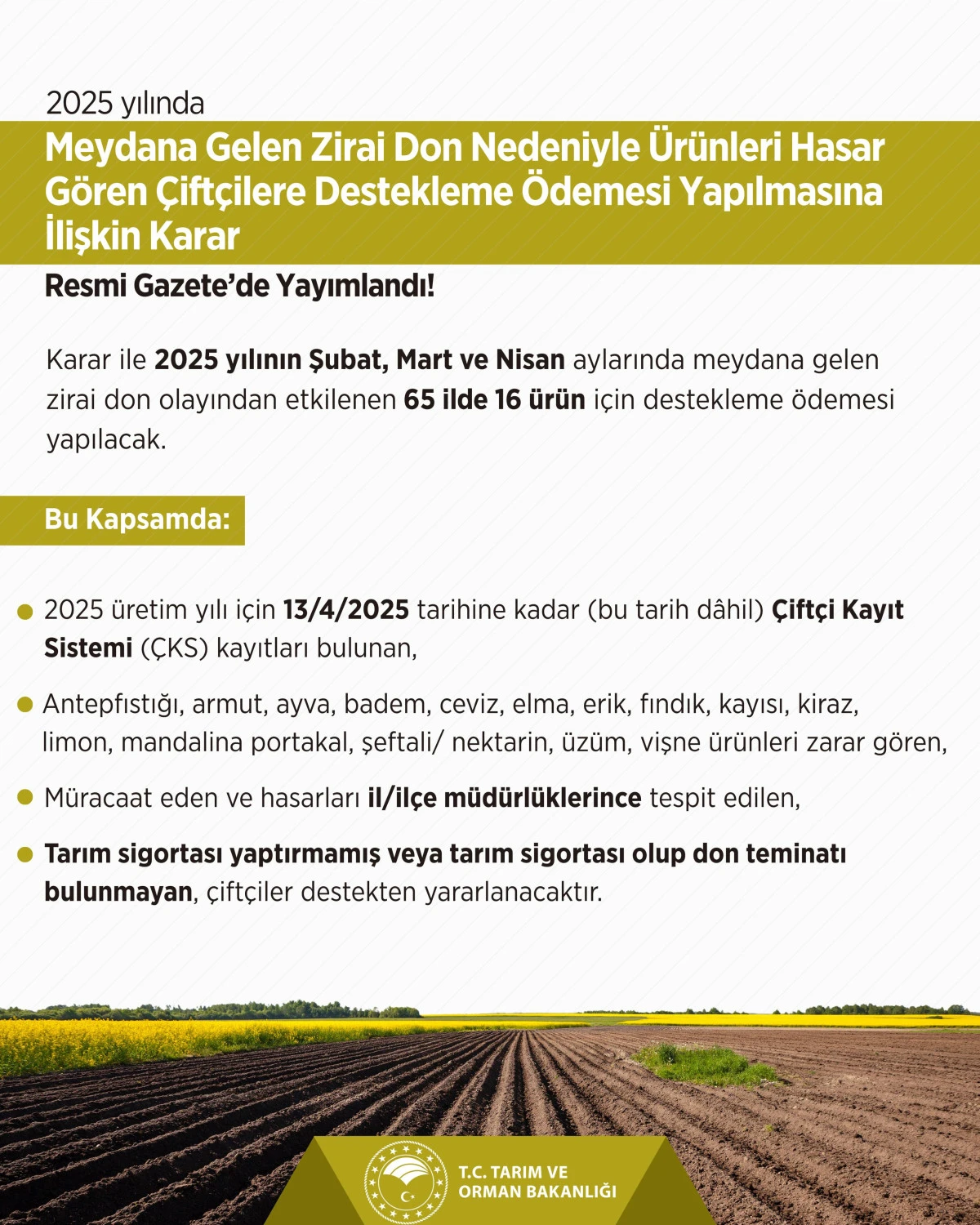 Zirai Don Desteği İçin Resmi Açıklama Geldi: Ödemeler Başlıyor!